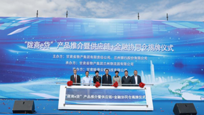 通過發(fā)行公司債券、不動(dòng)產(chǎn)投資信托基金（REITs）、培育上市公司等債權(quán)、股權(quán)融資工具和發(fā)起設(shè)立產(chǎn)業(yè)基金，拓寬多元化融資渠道；提供貨物在途監(jiān)管和在庫監(jiān)管，引入銀行、信托等金融機(jī)構(gòu)，開展倉單質(zhì)押、保理等業(yè)務(wù)；逐步拓展B2B供應(yīng)鏈服務(wù)平臺(tái)服務(wù)范圍，通過倉配一體化、“隴易商”、供應(yīng)鏈+金融為區(qū)域流通行業(yè)及相關(guān)產(chǎn)業(yè)客戶提供“四流合一”的完整供應(yīng)鏈服務(wù)解決方案。